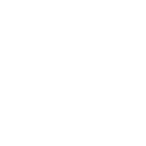 Logo White